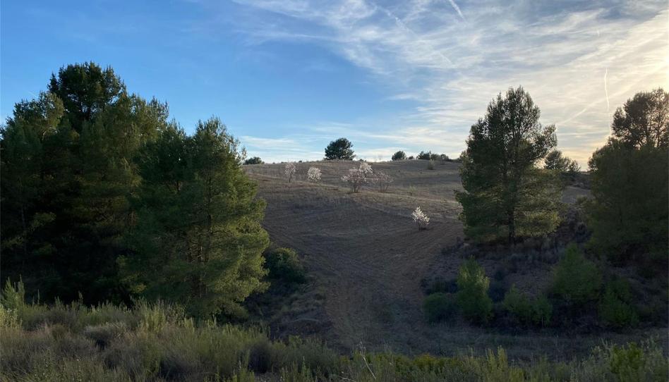 Urbanitzable en venda a Calle Cebada, 5, La Tova, Murcia - imatge 1 Foto 1 de Urbanitzable en venda a Calle Cebada, 5, La Tova, Murcia