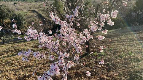 Urbanitzable en venda a Calle Cebada, 5, La Tova, Murcia - imatge 2 Foto 2 de Urbanitzable en venda a Calle Cebada, 5, La Tova, Murcia