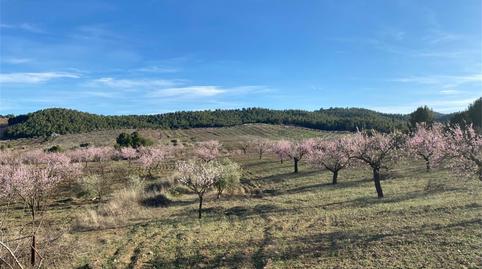 Urbanitzable en venda a Calle Cebada, 5, La Tova, Murcia - imatge 4 Foto 4 de Urbanitzable en venda a Calle Cebada, 5, La Tova, Murcia