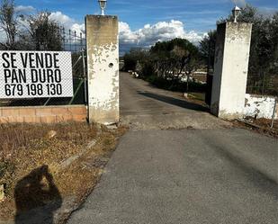 Vista exterior de Finca rústica en venda en Fuente El Saz de Jarama