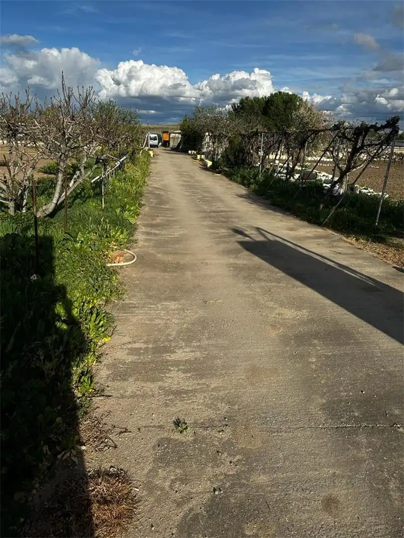 Vista exterior de Finca rústica en venda en Fuente El Saz de Jarama