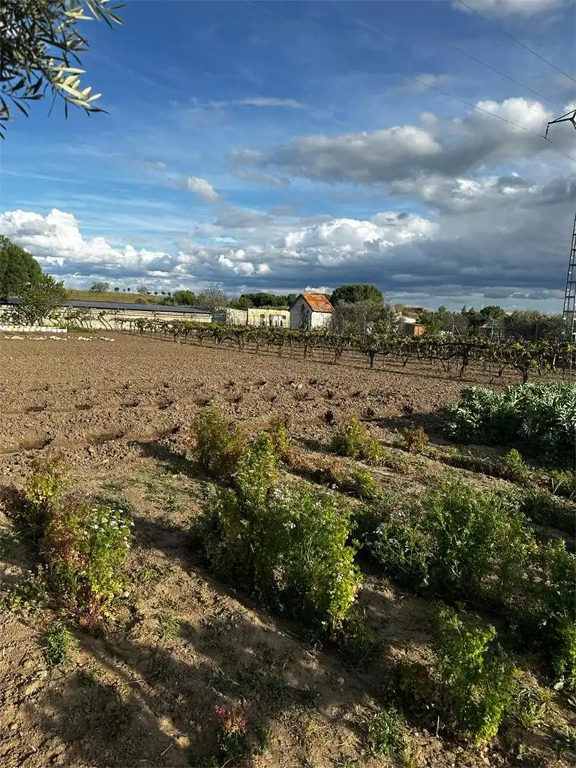 Finca rústica en venda en Fuente El Saz de Jarama