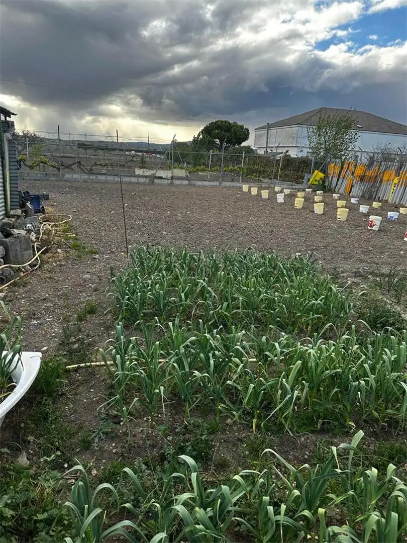 Jardí de Finca rústica en venda en Fuente El Saz de Jarama