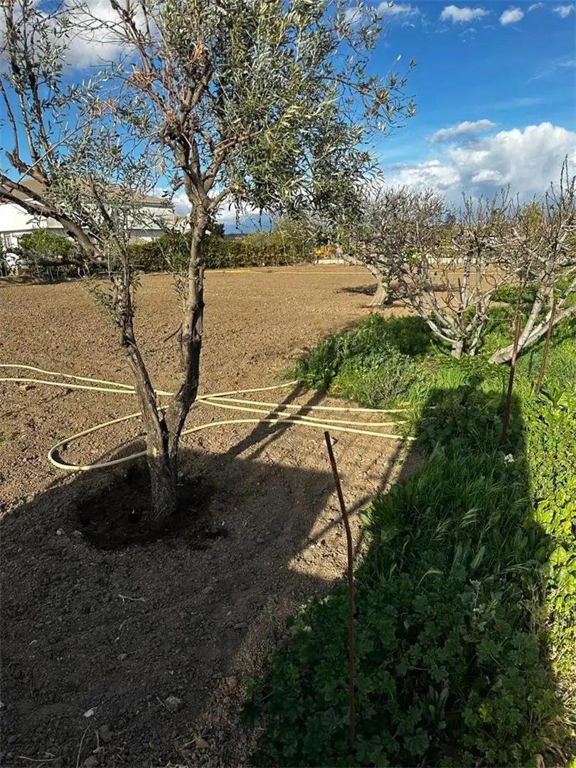 Finca rústica en venda en Fuente El Saz de Jarama
