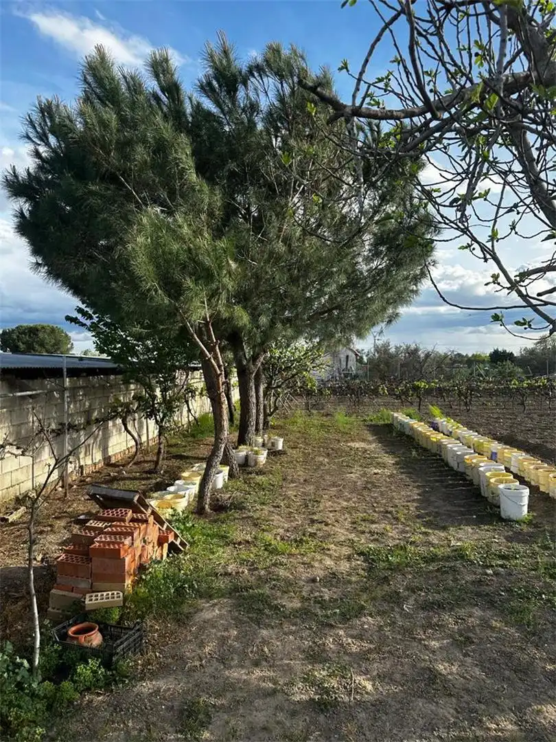 Finca rústica en venda en Fuente El Saz de Jarama