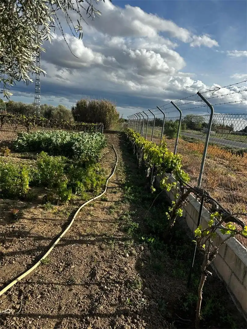 Jardí de Finca rústica en venda en Fuente El Saz de Jarama