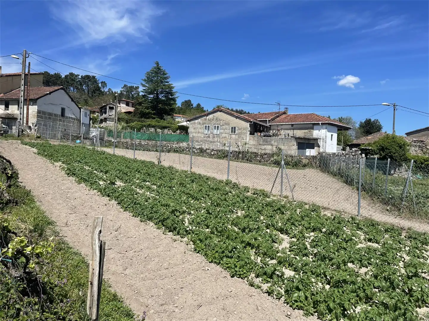 Bebaubares Gelände zum Verkauf in Camiño Eirexa, 40, Coles Bebaubares Gelände zum Verkauf in Coles