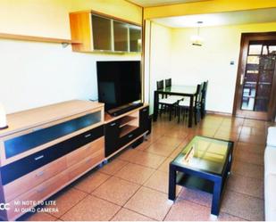 Living room of Flat for sale in Terrassa