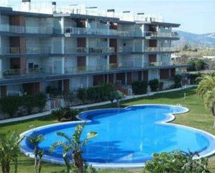 Swimming pool of Apartment to rent in Oliva  with Air Conditioner, Terrace and Swimming Pool