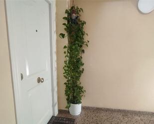Flat for sale in Alfarrasí  with Air Conditioner, Terrace and Balcony