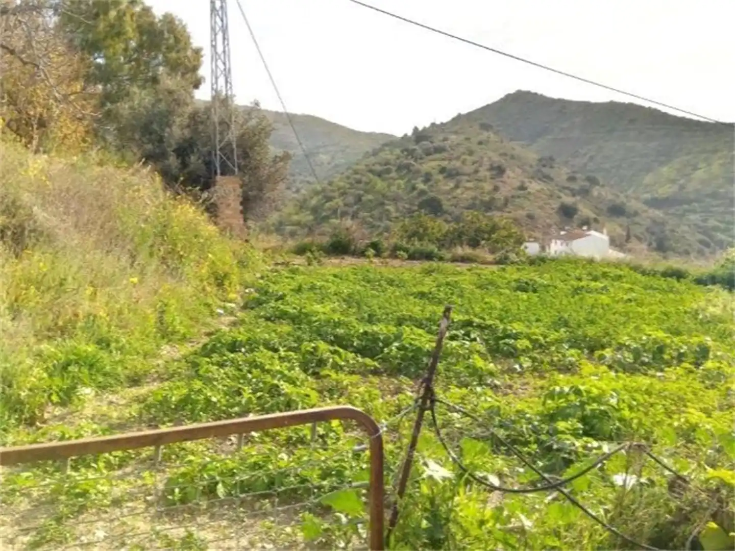 Finca rústica en venta en Rincón de la Victoria con Terraza