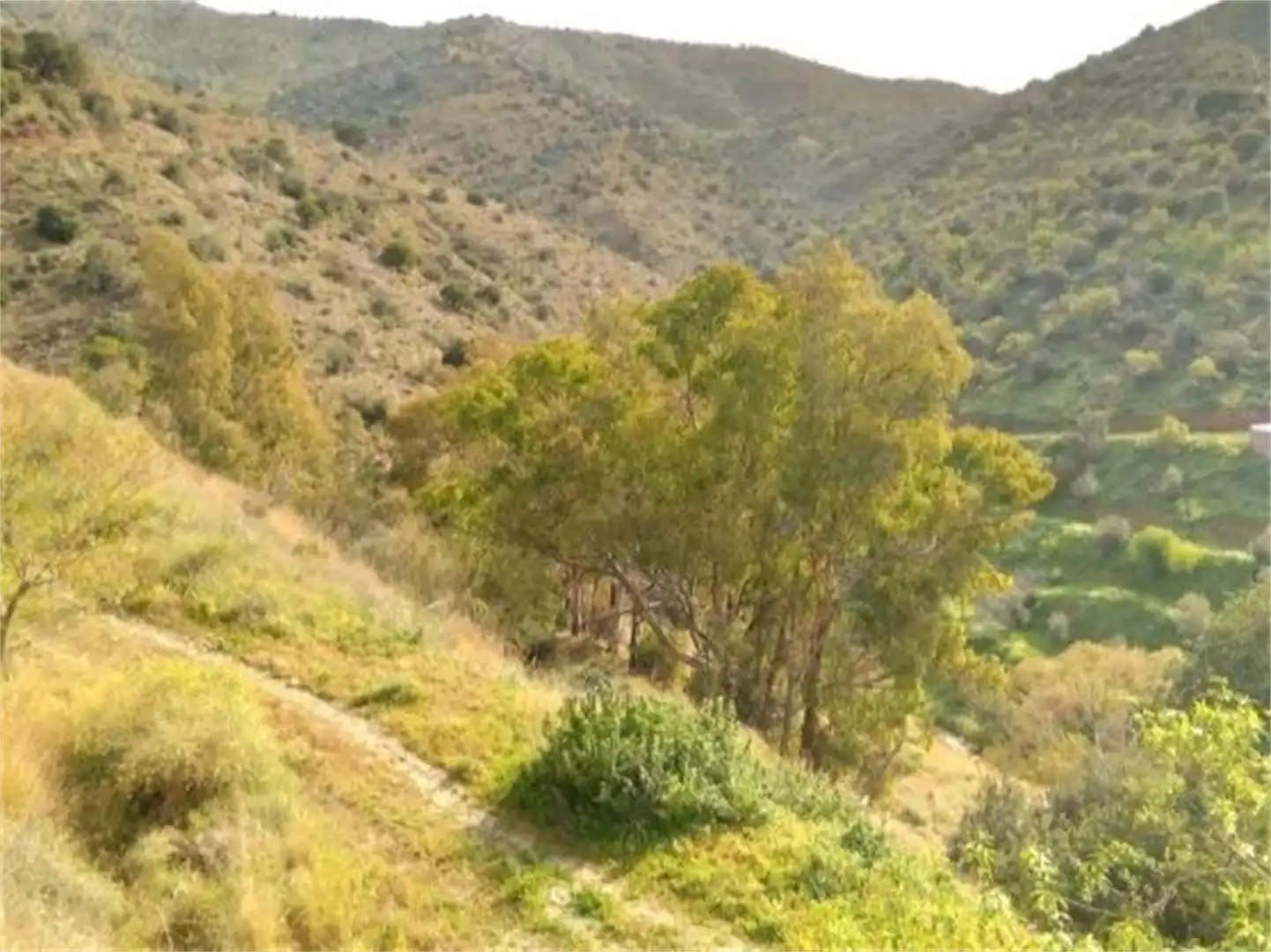 Vista exterior de Finca rústica en venta en Rincón de la Victoria con Terraza