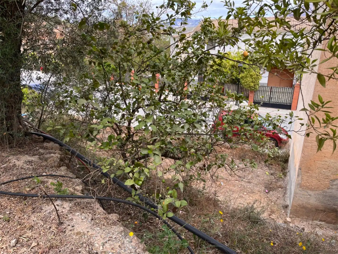 Urbanitzable en venda a GR-3204, 22, El Pinar Urbanitzable en venda en El Pinar