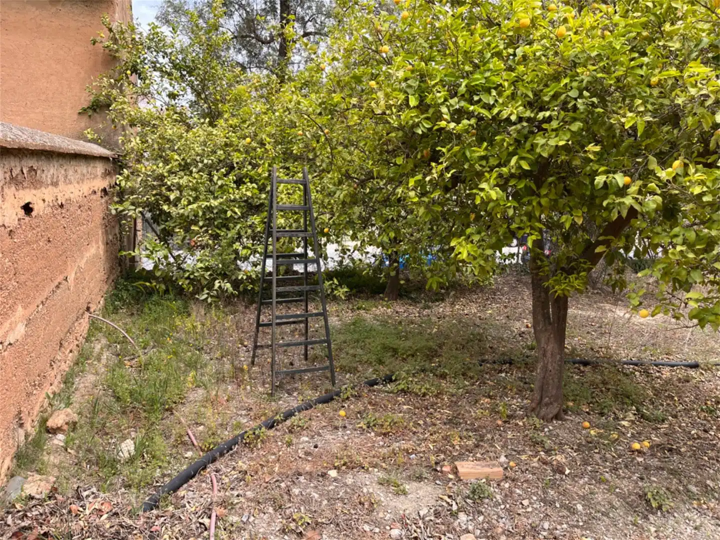 Urbanitzable en venda a GR-3204, 22, El Pinar Jardí de Urbanitzable en venda en El Pinar