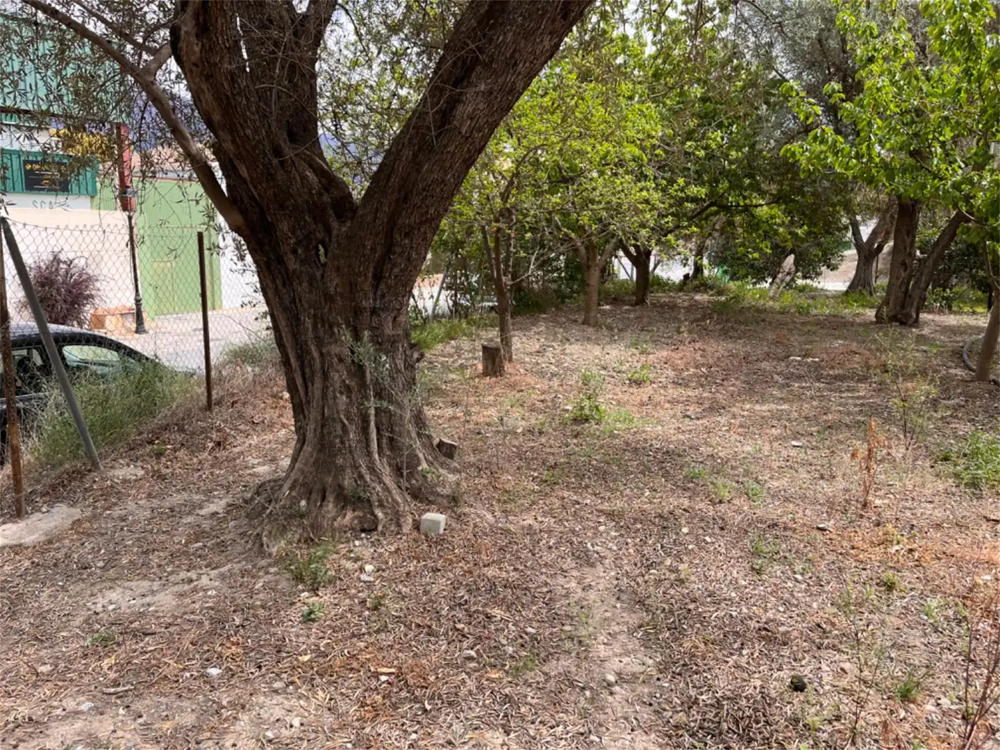 Urbanitzable en venda a GR-3204, 22, El Pinar Urbanitzable en venda en El Pinar