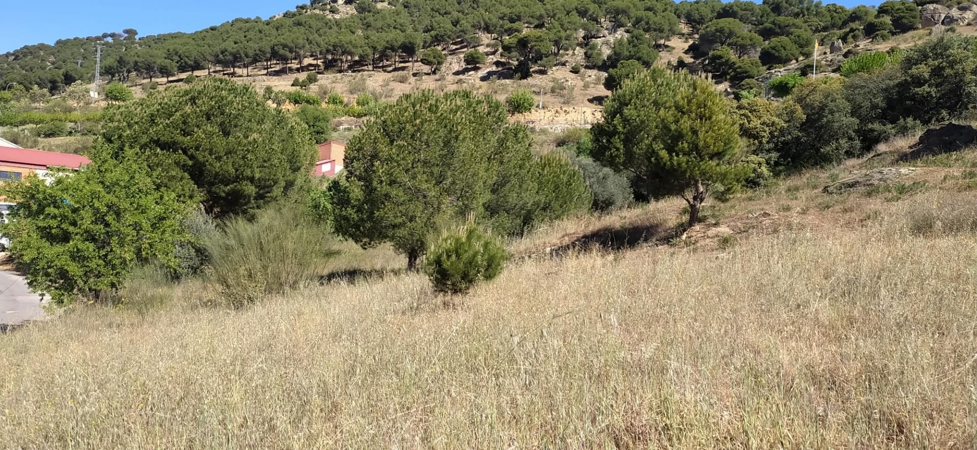 Land for sale in El Hoyo de Pinares 