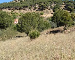 Land for sale in El Hoyo de Pinares 