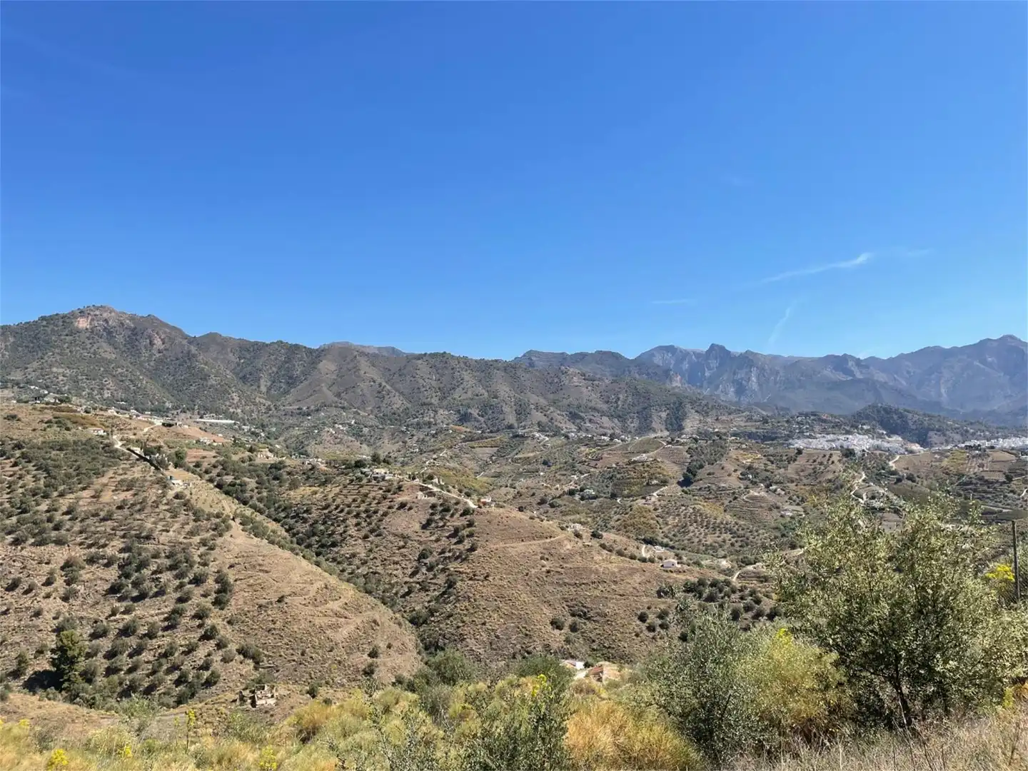 Non-constructible Land for sale in Diseminado Pago Marques, 179, Torrox Pueblo Exterior view of Non-constructible Land for sale in Torrox