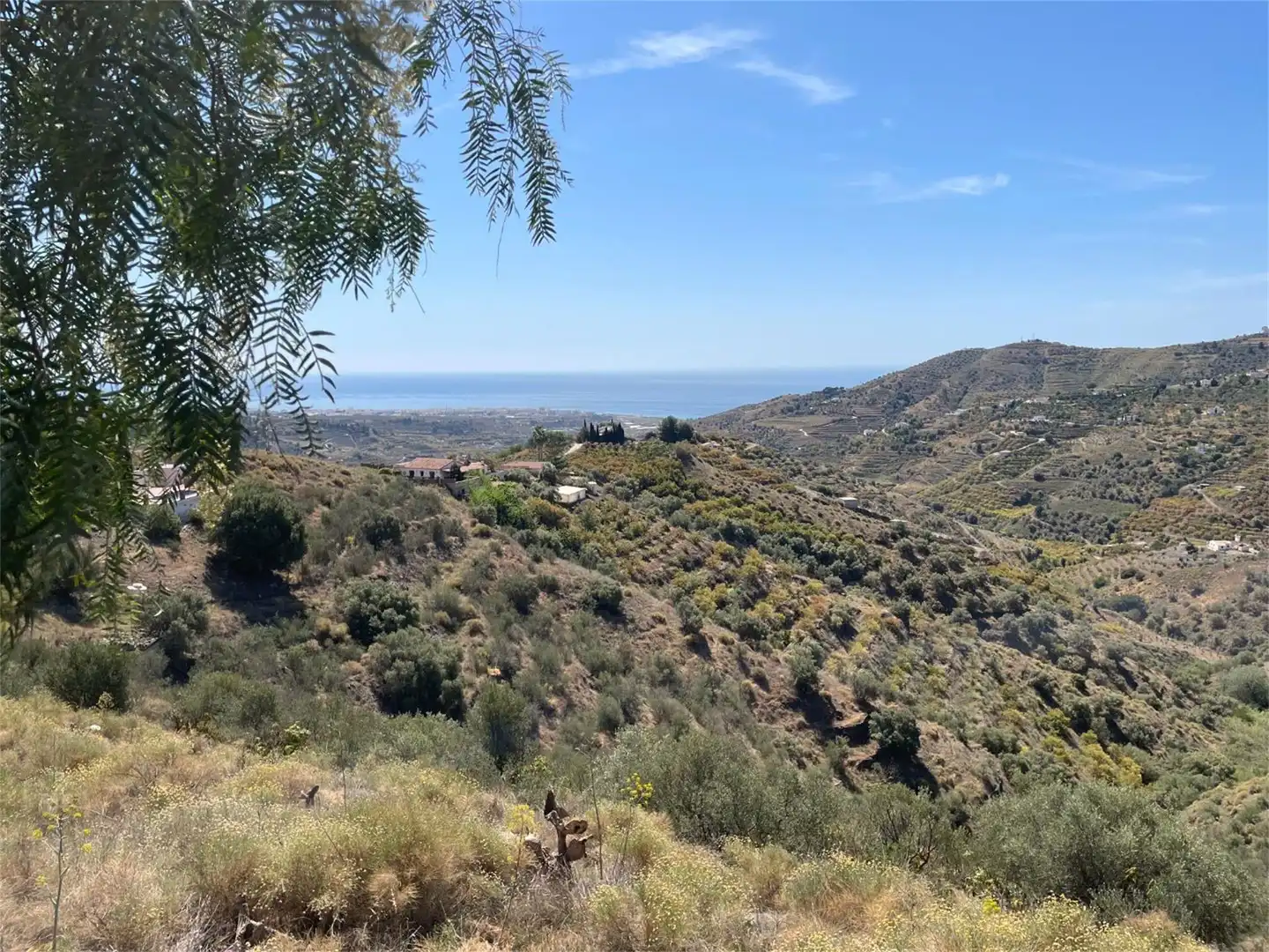 Non-constructible Land for sale in Diseminado Pago Marques, 179, Torrox Pueblo Exterior view of Non-constructible Land for sale in Torrox