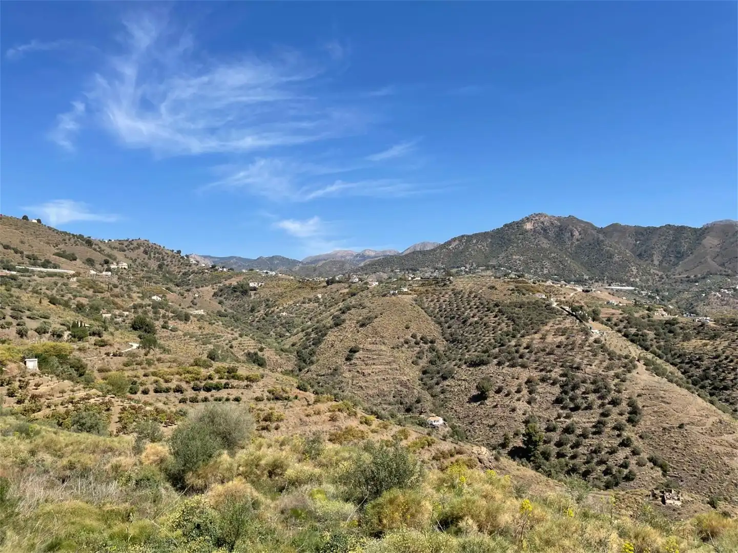 Non-constructible Land for sale in Diseminado Pago Marques, 179, Torrox Pueblo Exterior view of Non-constructible Land for sale in Torrox