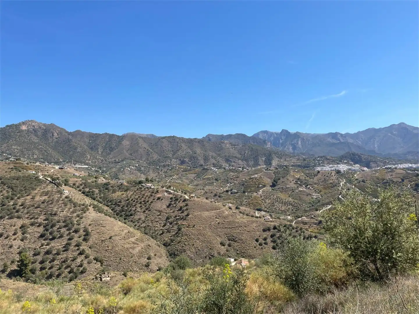 Non-constructible Land for sale in Diseminado Pago Marques, 179, Torrox Pueblo Exterior view of Non-constructible Land for sale in Torrox