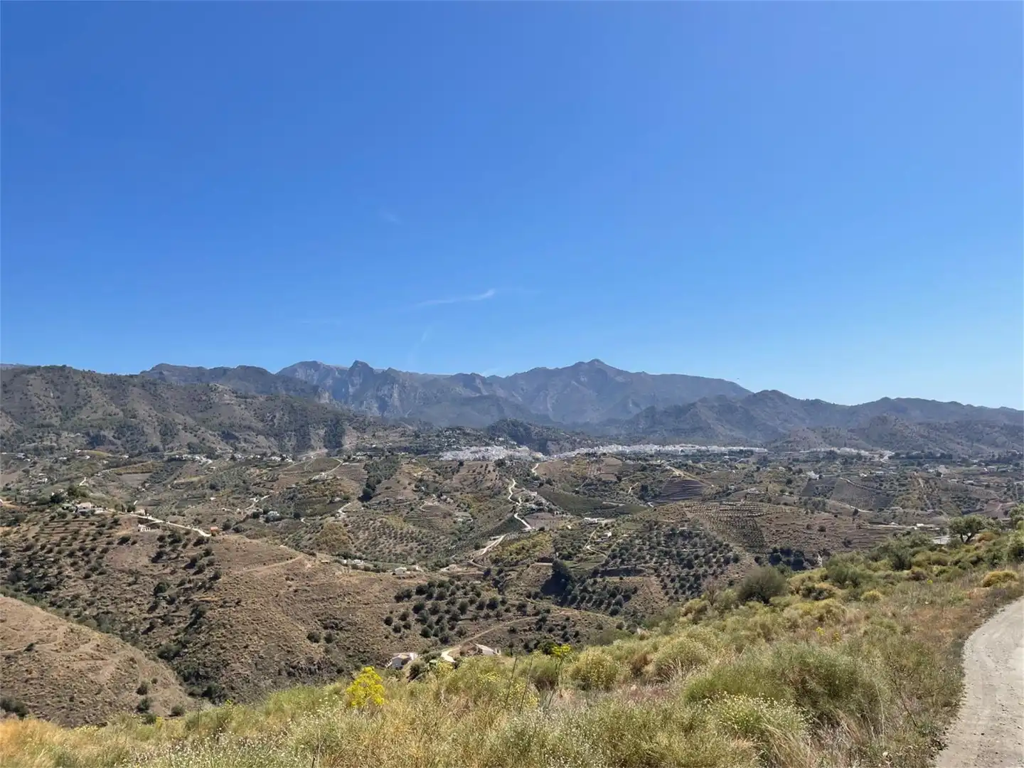 Non-constructible Land for sale in Diseminado Pago Marques, 179, Torrox Pueblo Exterior view of Non-constructible Land for sale in Torrox