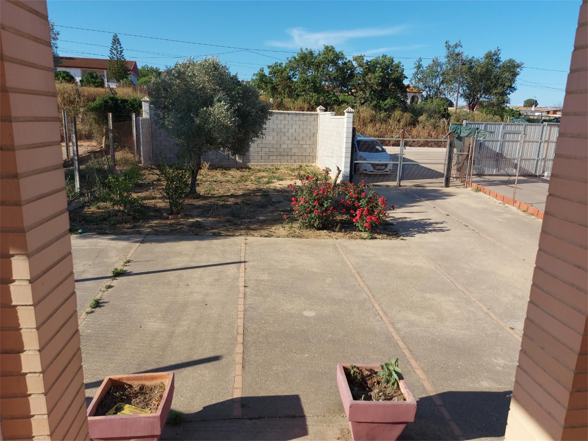 Jardí de Casa o xalet en venda en Moguer amb Jardí privat, Terrassa i Traster