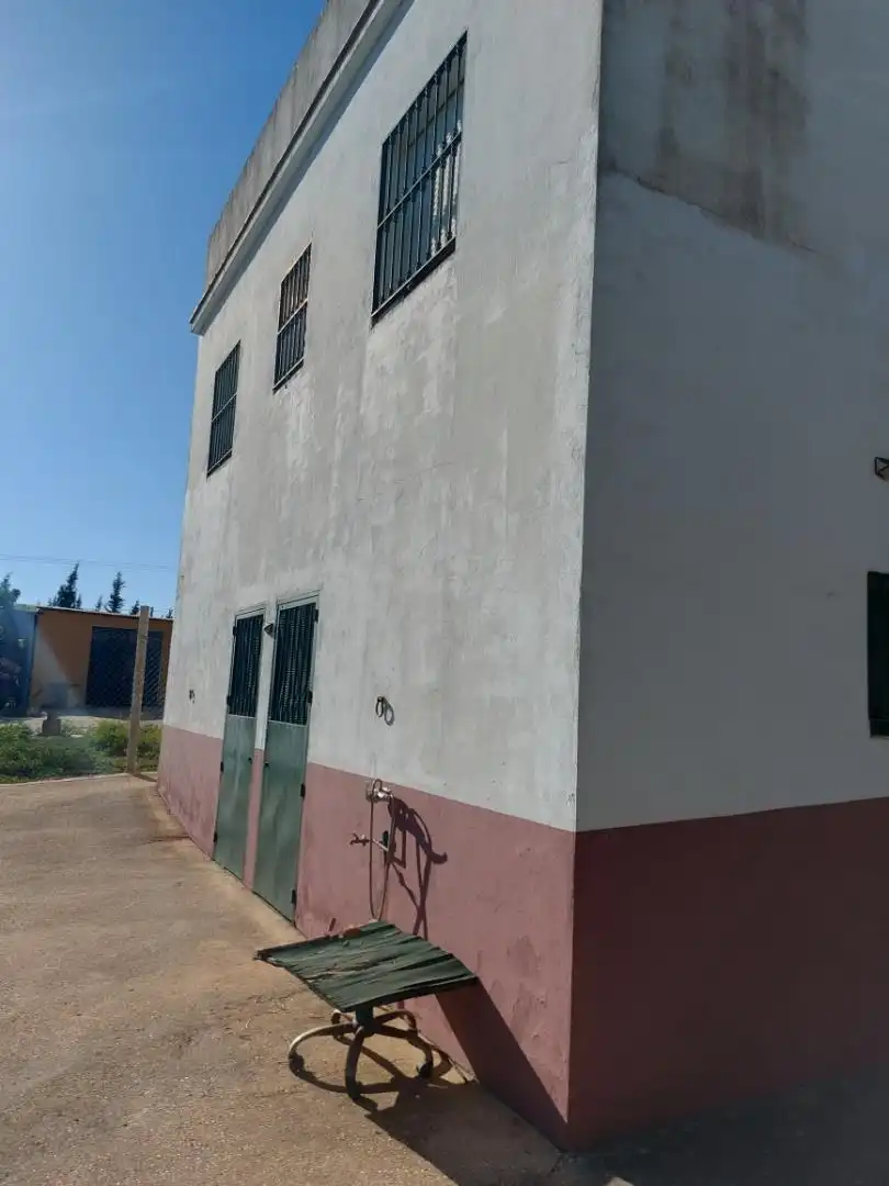 Casa o xalet en venda a Moguer Vista exterior de Casa o xalet en venda en Moguer amb Terrassa