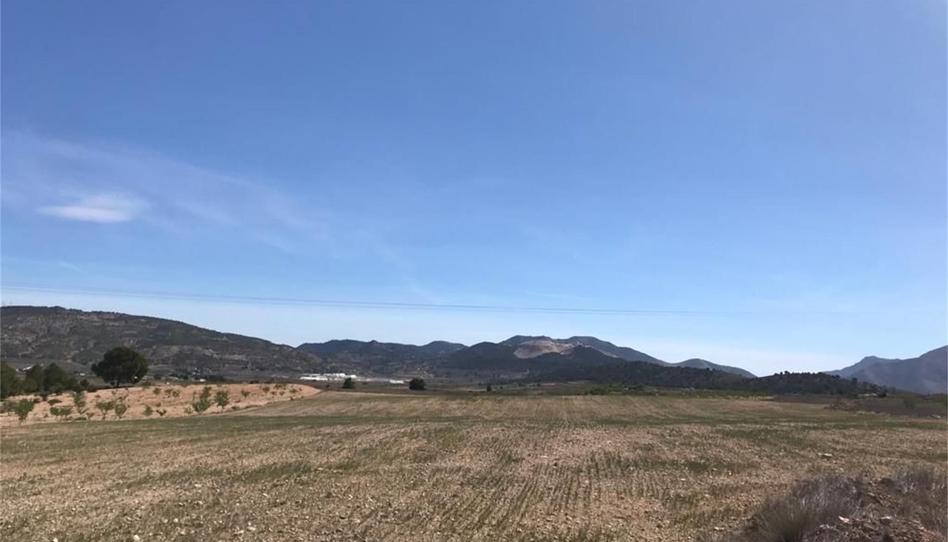 Country house for sale in Partida Rodriguillo, 98, El Pinós / Pinoso, Alicante - image 1 Photo 1 of Country house for sale in Partida Rodriguillo, 98, El Pinós / Pinoso, Alicante