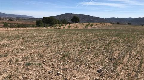 Country house for sale in Partida Rodriguillo, 98, El Pinós / Pinoso, Alicante - image 4 Photo 4 of Country house for sale in Partida Rodriguillo, 98, El Pinós / Pinoso, Alicante