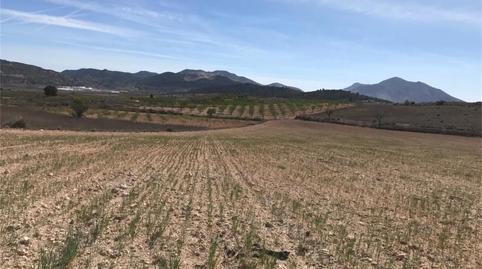 Country house for sale in Partida Rodriguillo, 98, El Pinós / Pinoso, Alicante - image 5 Photo 5 of Country house for sale in Partida Rodriguillo, 98, El Pinós / Pinoso, Alicante