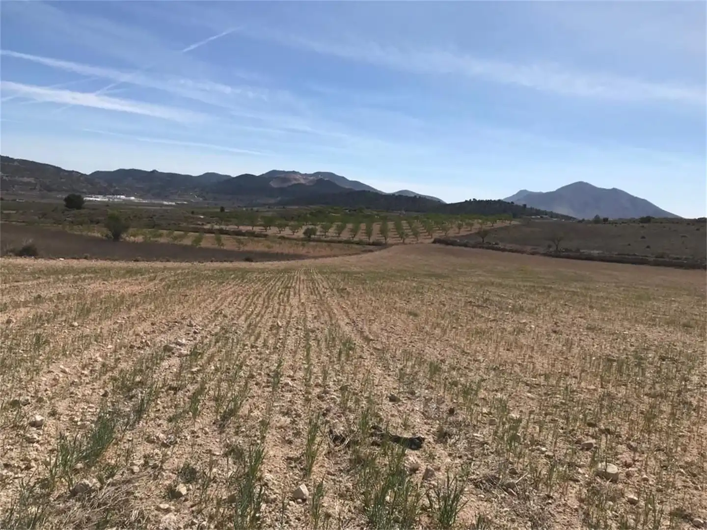Finca rústica en venta en Partida Rodriguillo, 98, El Pinós / Pinoso Finca rústica en venta en El Pinós / Pinoso