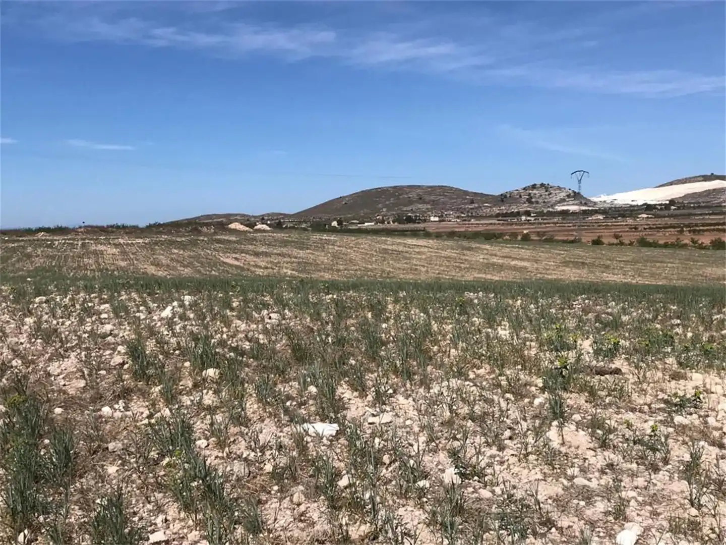 Finca rústica en venta en Partida Rodriguillo, 98, El Pinós / Pinoso Finca rústica en venta en El Pinós / Pinoso