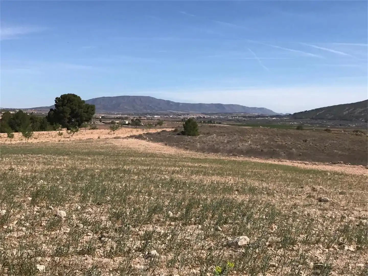 Finca rústica en venta en Partida Rodriguillo, 98, El Pinós / Pinoso Finca rústica en venta en El Pinós / Pinoso