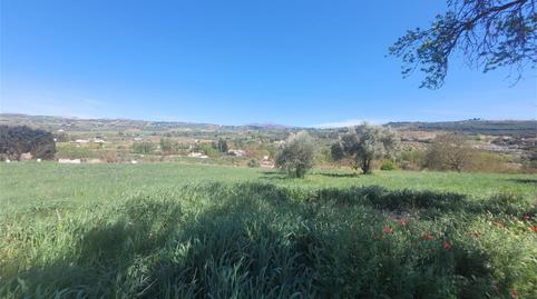 Foto 2 de Finca rústica en venda a Partida Rosalejo, 99, Partidas Sur, Málaga