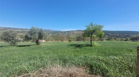 Foto 5 de Finca rústica en venda a Partida Rosalejo, 99, Partidas Sur, Málaga