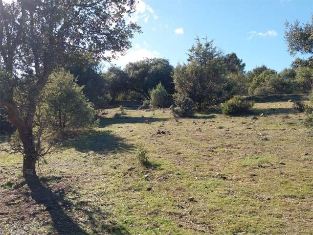 Terreno en Venta en Calle Navilla, 21 en Santa María de la Alameda