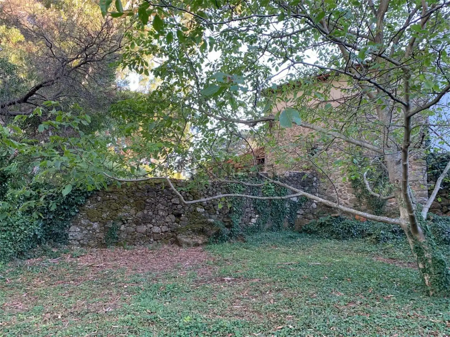 Finca rústica en venta en Calle de Pedro Hontiveros, 5, Gata Finca rústica en venta en Gata con Jardín privado, Terraza y Balcón