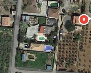 Land for sale in El Coronil