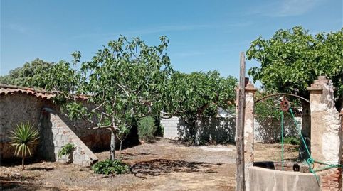 Foto 4 von Bebaubares Gelände zum Verkauf in Avenida de Lucio García, 94, Peraleda de la Mata, Cáceres