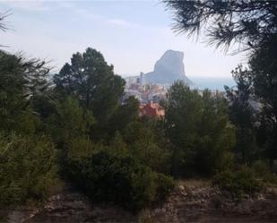 Land for sale in Calpe / Calp