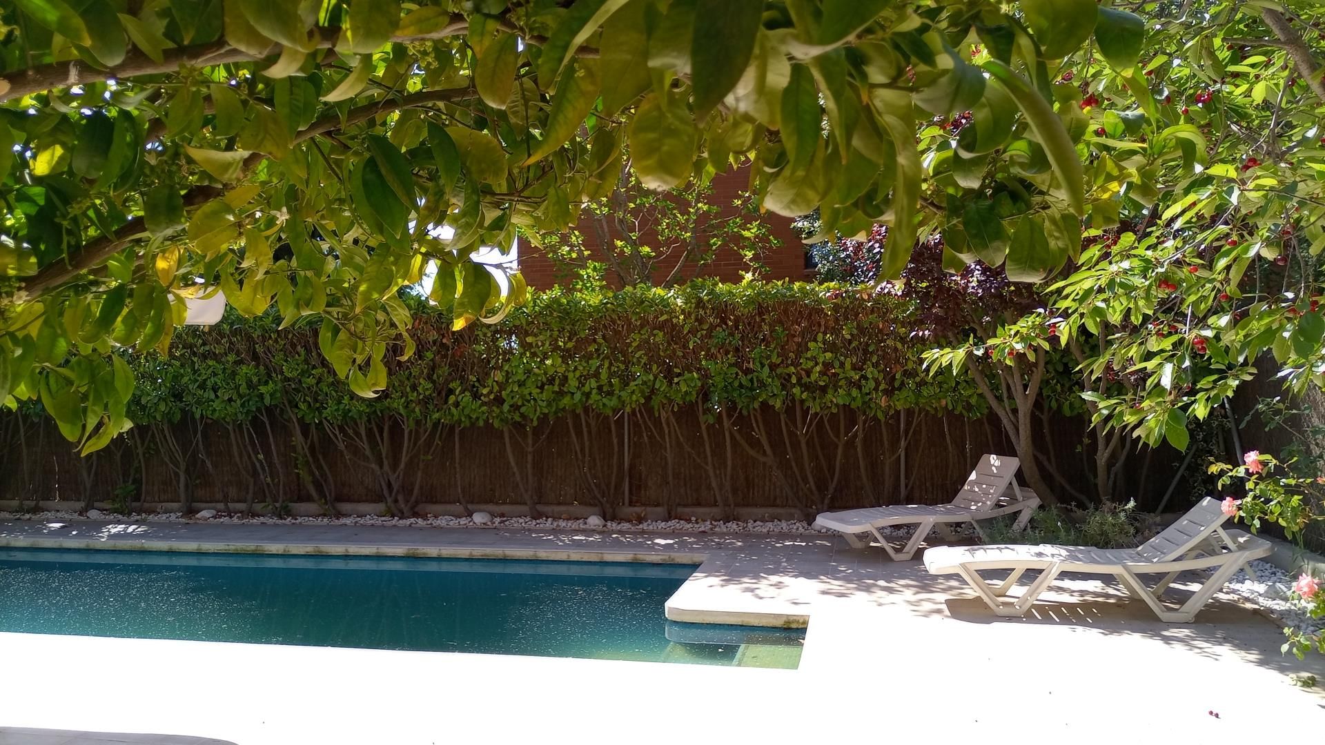 Swimming pool of House or chalet for sale in Igualada