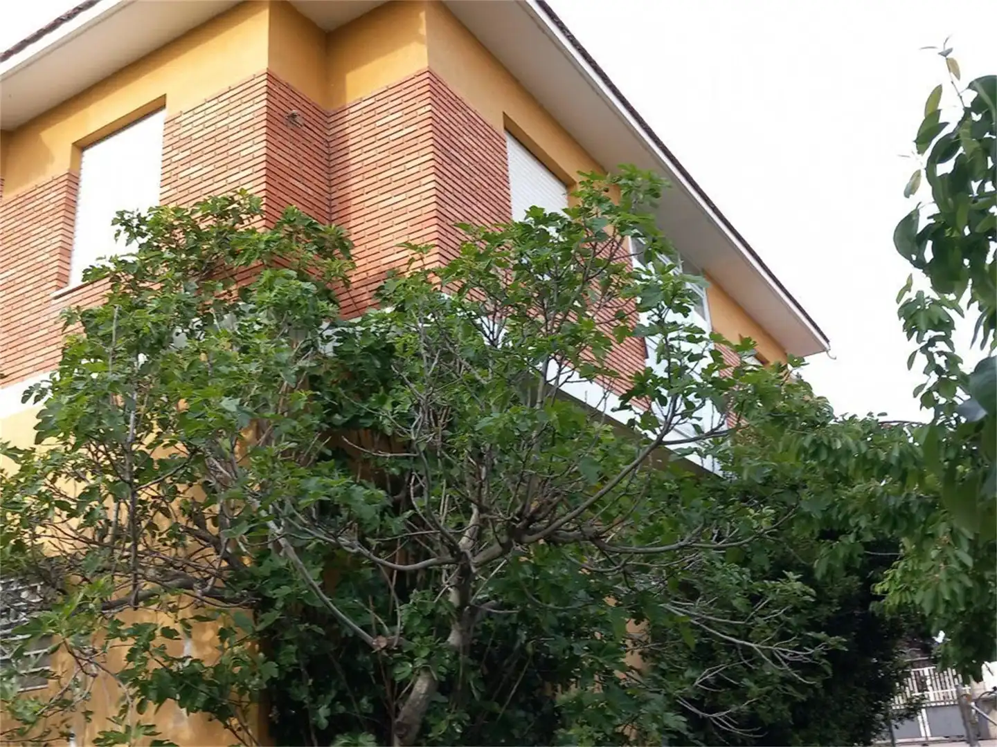 Casa o xalet en venda a Calle la Rodera, Villarejo de Órbigo Vista exterior de Casa o xalet en venda en Villarejo de Órbigo amb Calefacció, Jardí privat i Terrassa