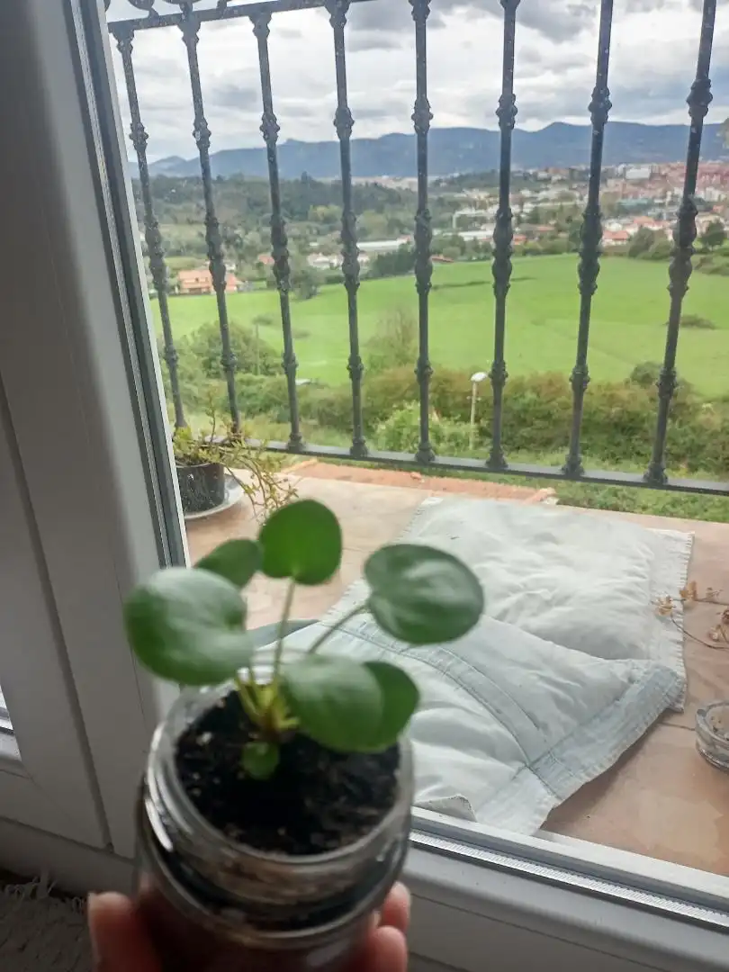 Habitación en Eguzkitza Bidea, 41, Berango Terraza de Casa o chalet para compartir en Berango con Calefacción, Jardín privado y Parquet