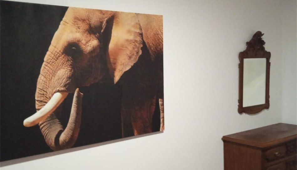 Foto 1 de Habitación en Rúa Da Escalinata Do Aturuxo, 1, Campus Norte - San Caetano, Santiago de Compostela