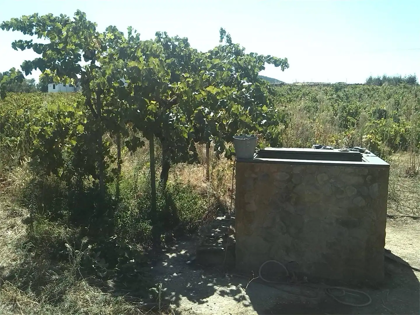Vista exterior de Finca rústica de alquiler en Madroñera con Terraza, Trastero y Amueblado