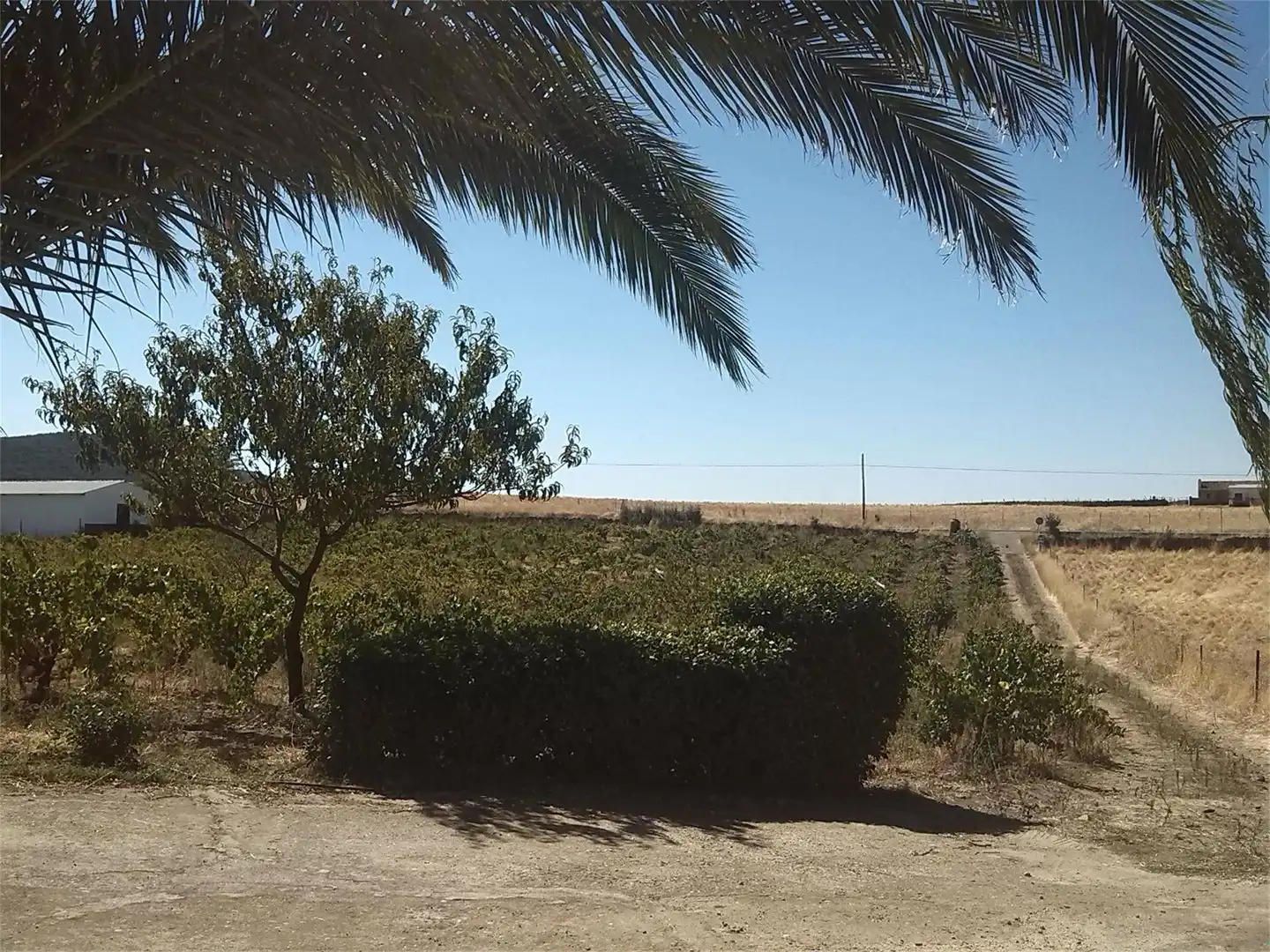 Finca rústica de alquiler en Madroñera con Terraza, Trastero y Amueblado
