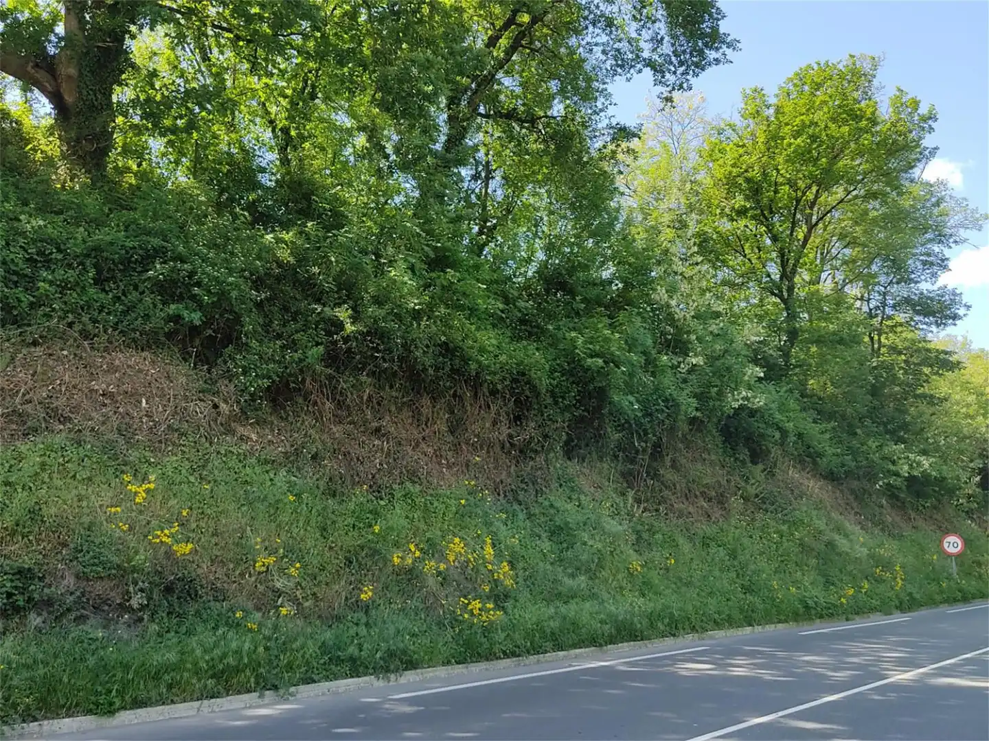 Grundstücke zum Verkauf in Idiazabal