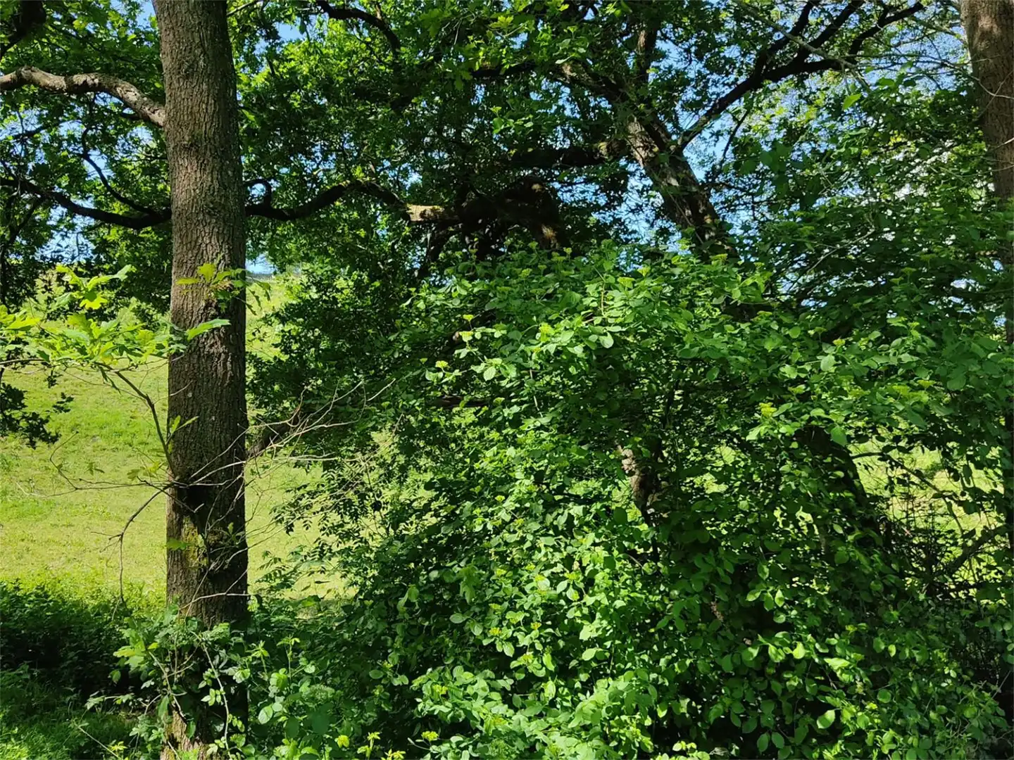 Grundstücke zum Verkauf in Idiazabal