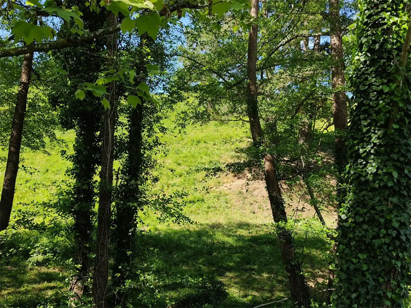 Grundstücke zum Verkauf in Idiazabal